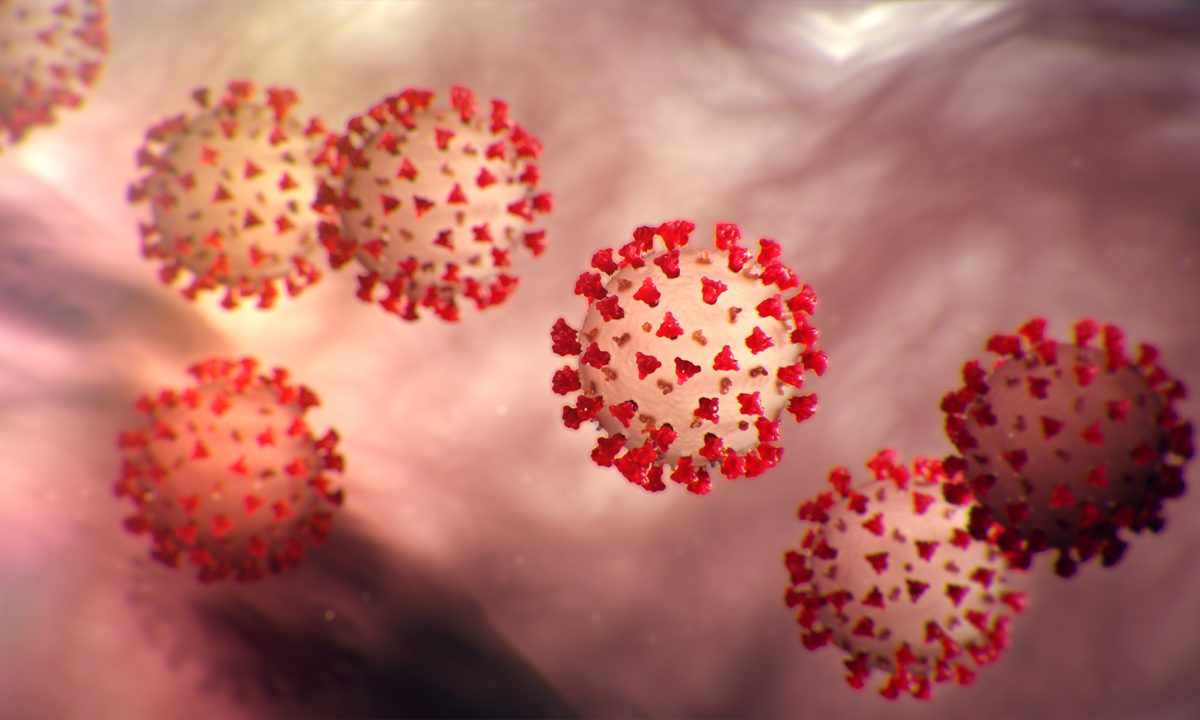 What is the coronavirus?